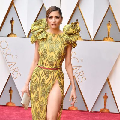 Alfombra roja de los Oscar 2017