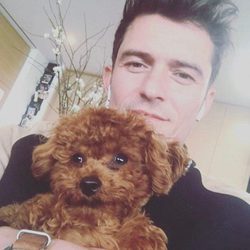 Orlando Bloom posa junto al perro de Katy Perry 'Butters'