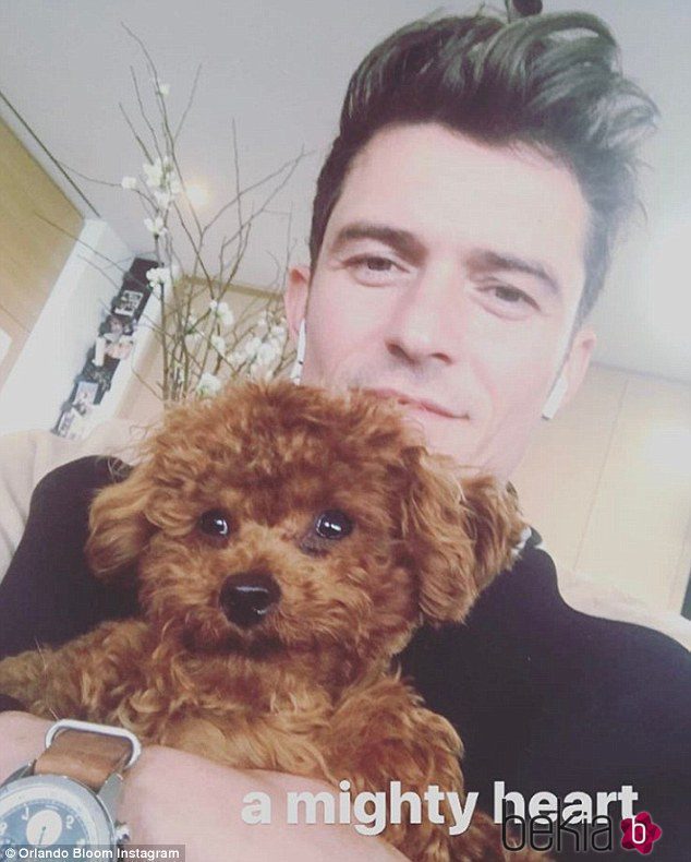 Orlando Bloom posa junto al perro de Katy Perry 'Butters'