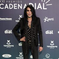 Mario Vaquerizo en la alfombra roja de los Premios Cadena Dial 2017