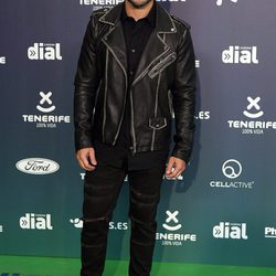 Luis Fonsi en la alfombra roja de los Premios Cadena Dial 2017