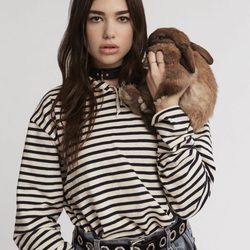 Dua Lipa