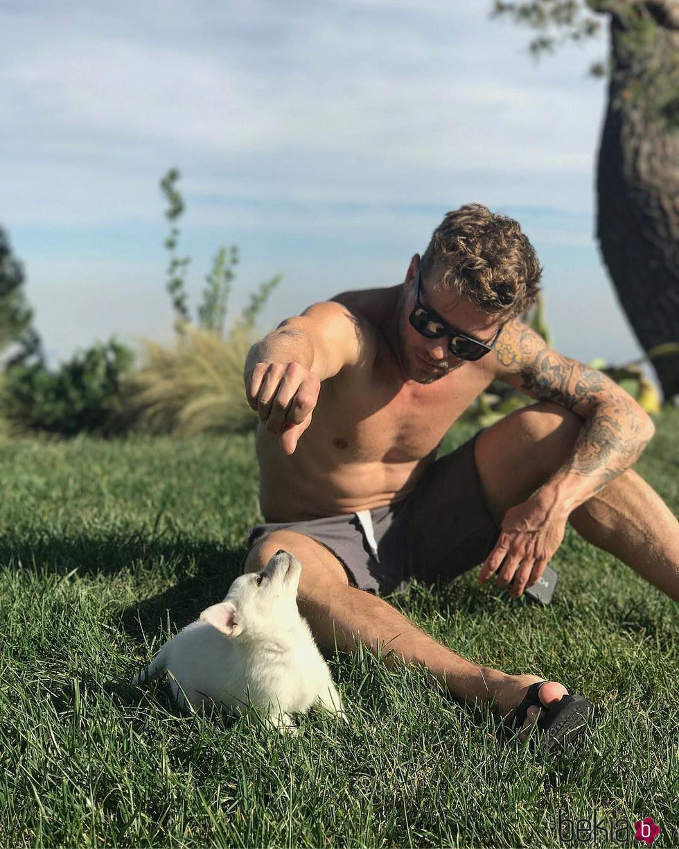 Ryan Phillippe junto a un perro