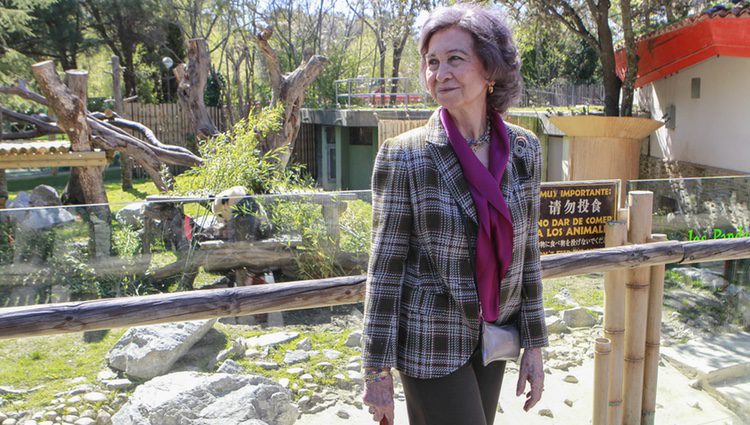 La Reina Sofía visita por primera vez a la panda Chulina en el Zoo de Madrid