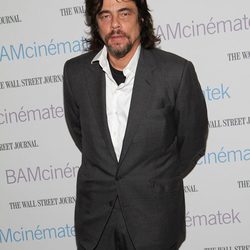 Benicio del Toro ya es ciudadano español