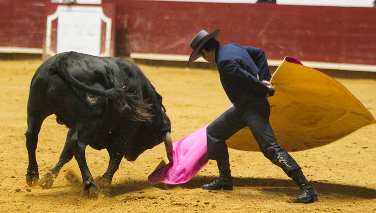 Fran Rivera practicando su pasión, el toreo