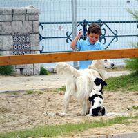 Froilán jugando con unos perros