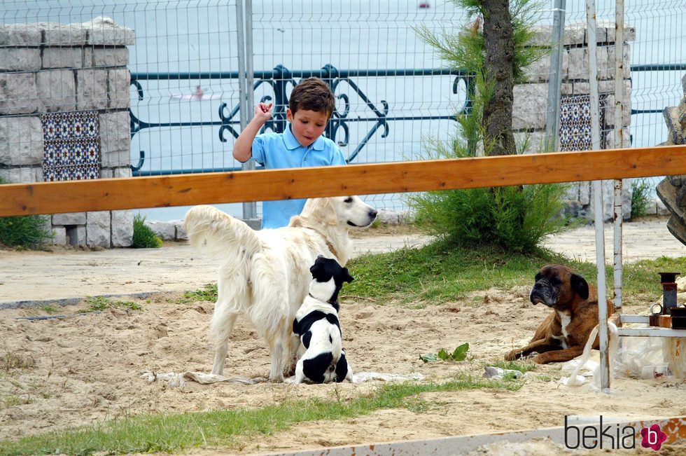 Froilán jugando con unos perros