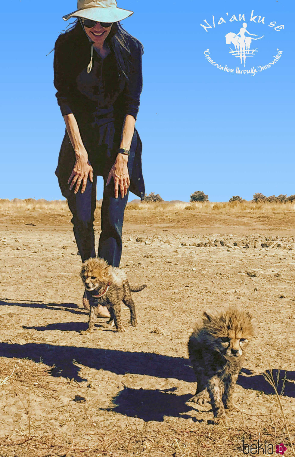 Angelina Jolie inaugura un santuario de animales en Namibia