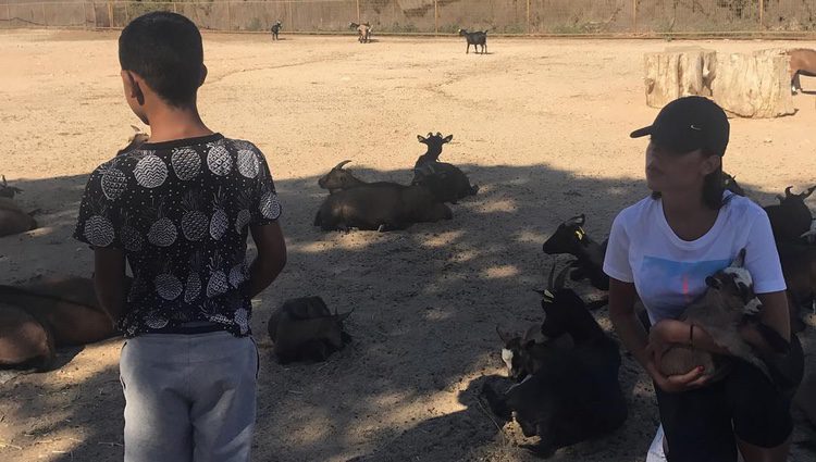 Georgina Rodríguez disfrutando del Safari Madrid con Cristiano Ronaldo Junior