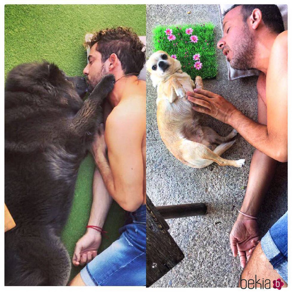 Ángel Llàcer imitando a David Bisbal con su perrito