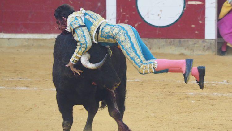 El torero Cayetano Rivera herido en las fiestas del Pilar en Zaragoza