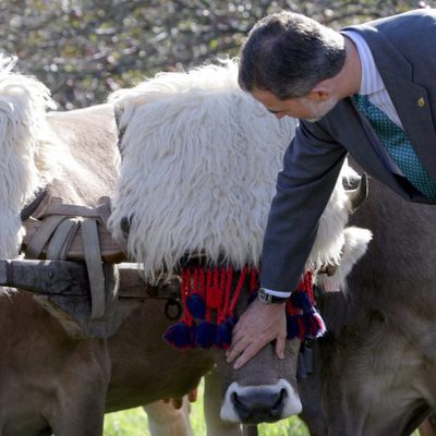 Los Reyes Felipe y Letizia nombran a Poreñu 'Pueblo Ejemplar de Asturias 2017'