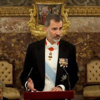 El Rey Felipe dando un discurso en la cena de gala en honor al presidente de Israel