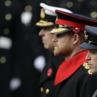 El Príncipe Guillermo, el Príncipe Harry y el Príncipe Andrés en el concierto por el Día del Recuerdo 2017