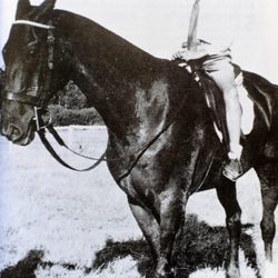 El Rey Juan Carlos montando a caballo de niño