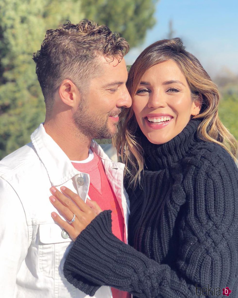 David Bisbal y Rosanna Zanetti, muy enamorados