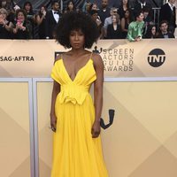 Sydelle Noel en la alfombra roja de los SAG 2018