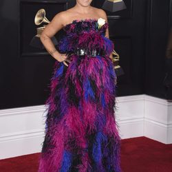 Pink en la alfombra roja de los Premios Grammy 2018