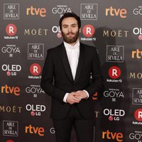 Ricardo Gómez en la alfombra roja de los Premios Goya 2018