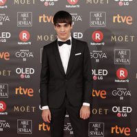 Eneko Sagardoy en la alfombra roja de los Premios Goya 2018