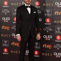 José Manuel Seda en la alfombra roja de los Premios Goya 2018