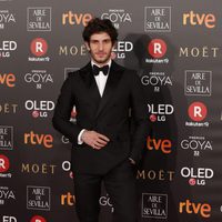 Quim Gutiérrez en la alfombra roja de los Premios Goya 2018