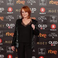 García Querejeta en la alfombra roja de los Premios Goya 2018