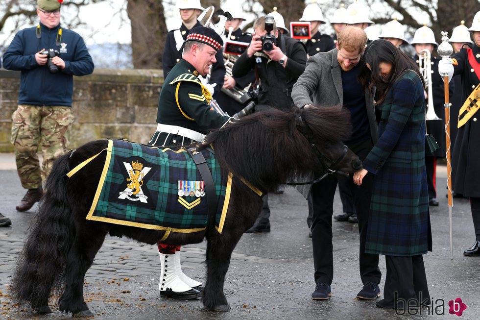 El Príncipe Harry y Meghan Markle acariciando a un poni en Edimburgo