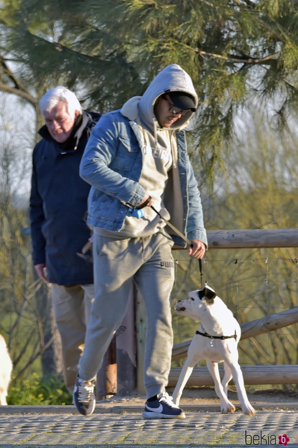 Mario Casas paseando a su perrito por Madrid