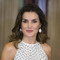 Doña Letizia posa sonriente durante su encuentro con el Presidente de República Dominicana