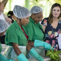 La Reina Letizia comprueba cómo trabajan unas mujeres productores en una cooperativa de producción de banano orgánico en República Dominicana