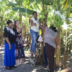 La Reina Letizia visita una cooperativa de productores de banano orgánico en República Dominicana