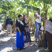 La Reina Letizia visita una cooperativa de productores de banano orgánico en República Dominicana