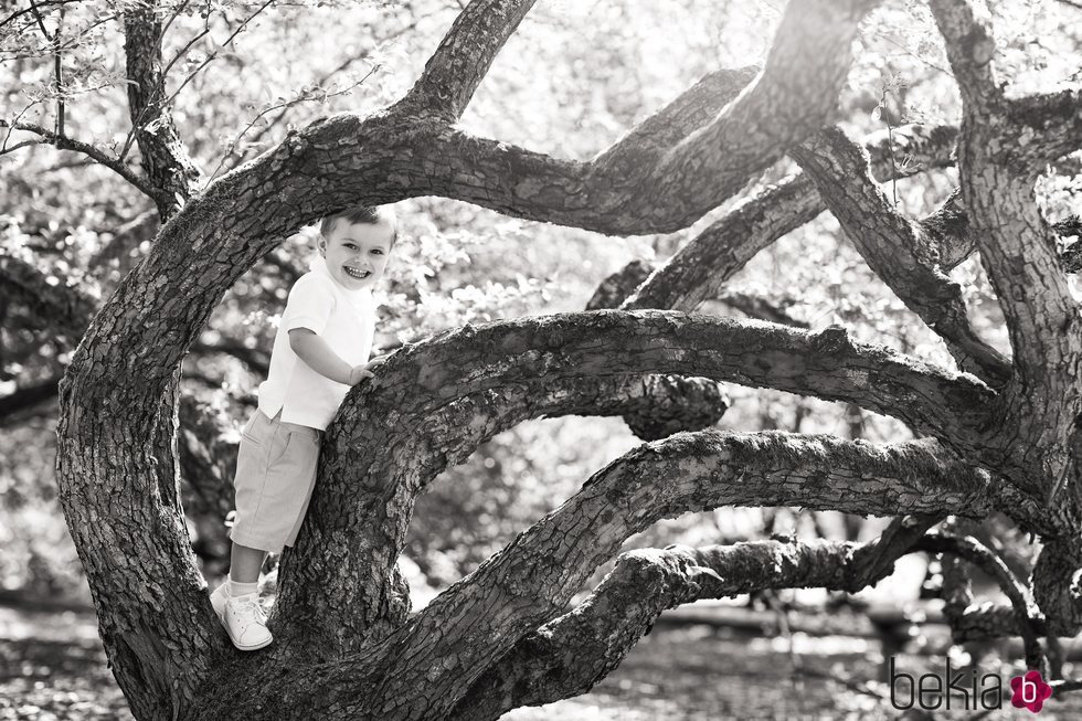 Oscar de Suecia subido a un árbol muy sonriente