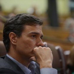 Pedro Sánchez en el Congreso de los Diputados