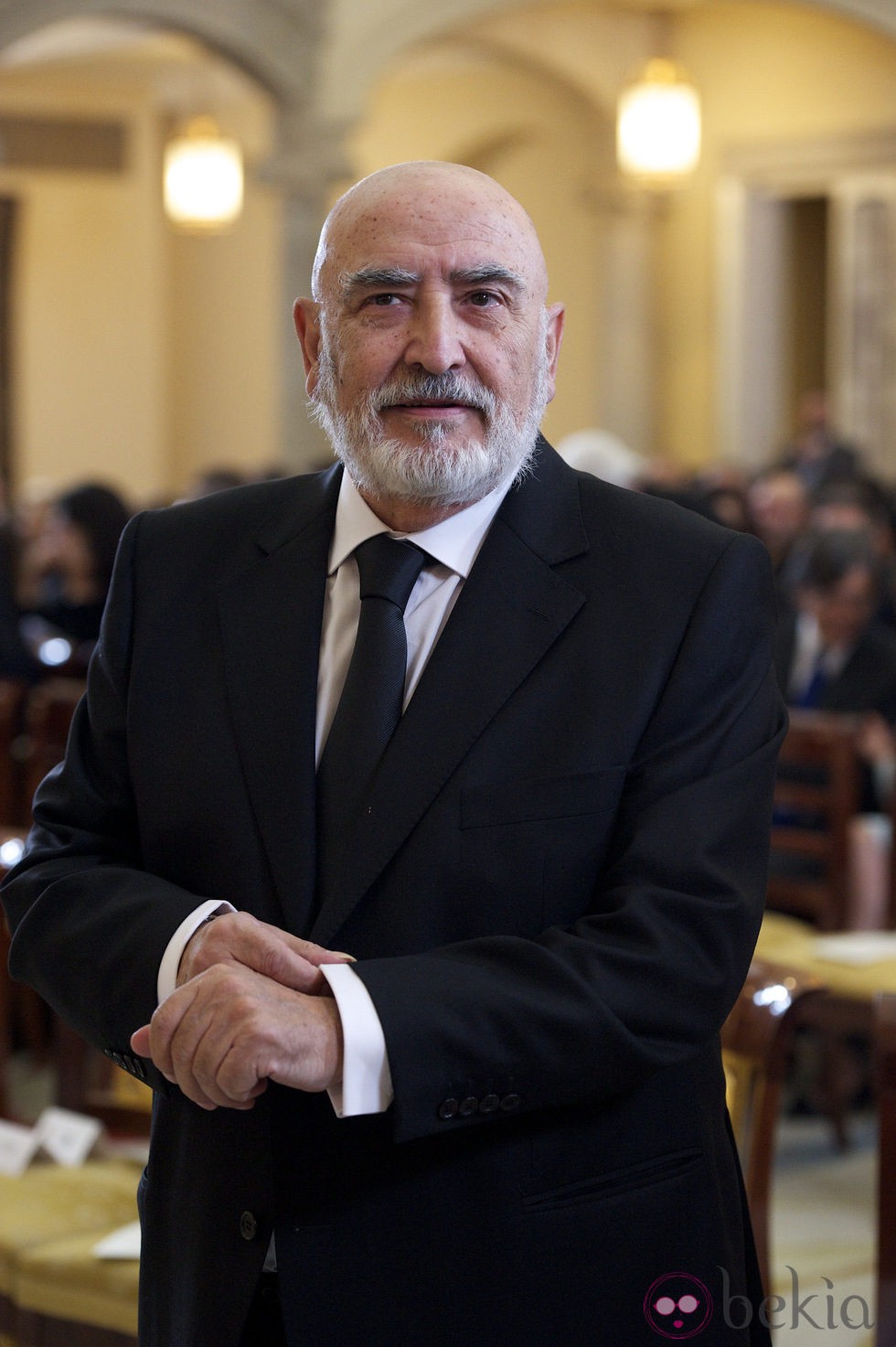 Peret en la entrega de las Medallas de Oro en las Bellas Artes 2010