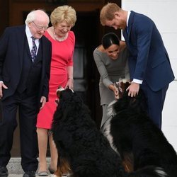 El Príncipe Harry y Meghan Markle acarician a los perros del Presidente de Irlanda