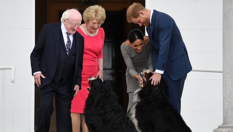 El Príncipe Harry y Meghan Markle acarician a los perros del Presidente de Irlanda