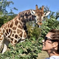 Mary de Dinamarca con una jirafa en Knuthenborg Safari Park