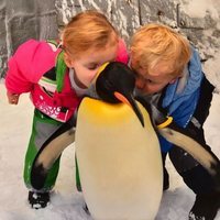 Jacques y Gabriella de Mónaco dando un beso a un pingüino