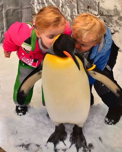 Jacques y Gabriella de Mónaco dando un beso a un pingüino