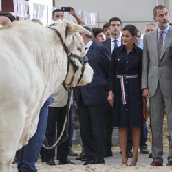 Los Reyes Felipe y Letizia en la Feria Agropecuaria de Salamanca y la exposición de Ganado Puro