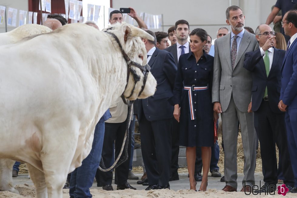 Los Reyes Felipe y Letizia en la Feria Agropecuaria de Salamanca y la exposición de Ganado Puro