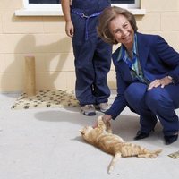 La Reina Sofía con un gato