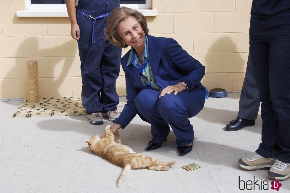 La Reina Sofía con un gato