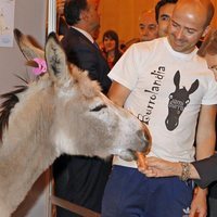 La Reina Sofía dando de comer a un burro