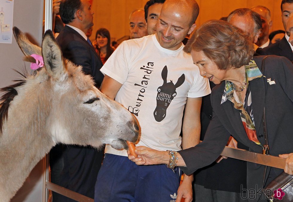 La Reina Sofía dando de comer a un burro