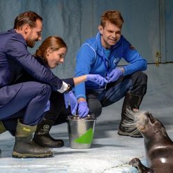 Ingrid de Noruega da de comer a una foca junto a Haakon de Noruega