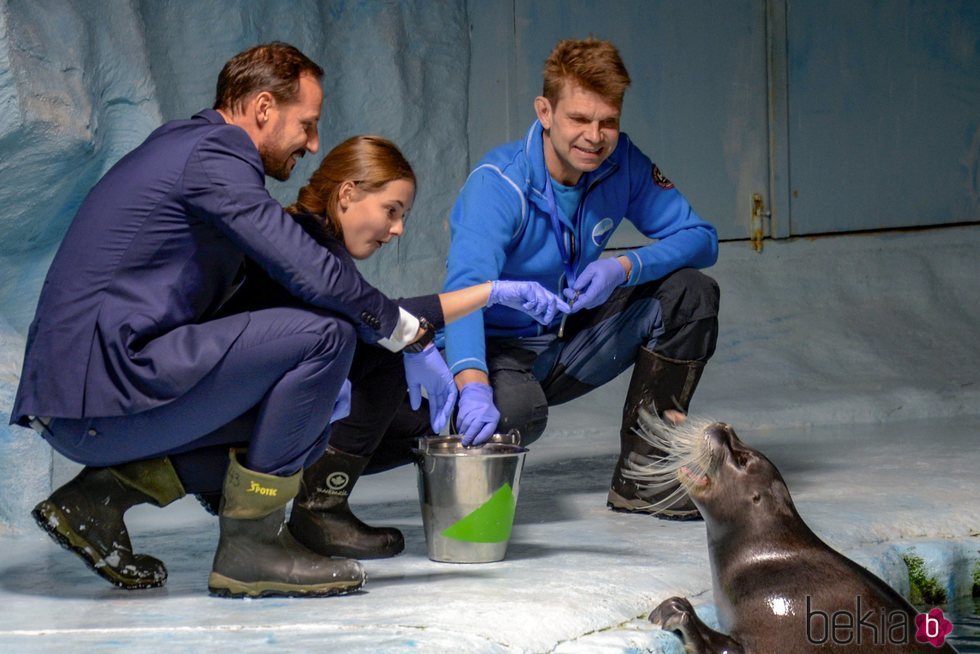 Ingrid de Noruega da de comer a una foca junto a Haakon de Noruega